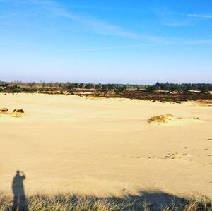 Scenic view of beach against clear sky