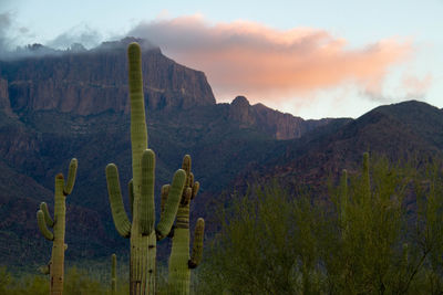 Scenic view of dramatic landscape against sky