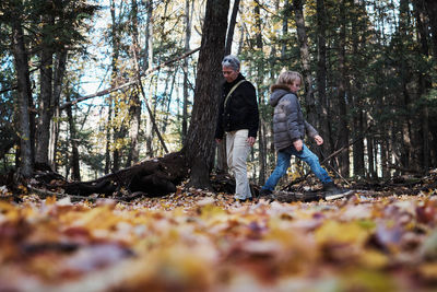 Man and leaves on tree trunk in forest