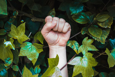 Cropped hand amidst leaves