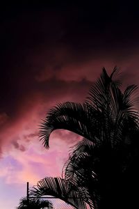 Low angle view of silhouette palm tree against dramatic sky