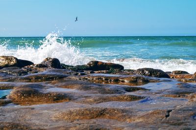 Scenic view of sea against clear sky