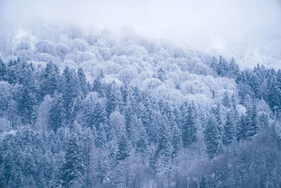 Full frame shot of snow