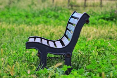 Side view of black dog on field