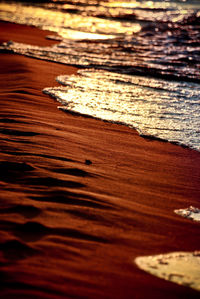 High angle view of wood at beach during sunset