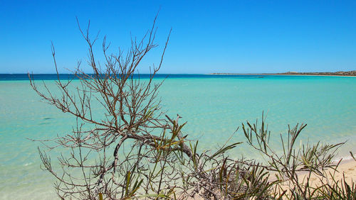 View of sea against blue sky