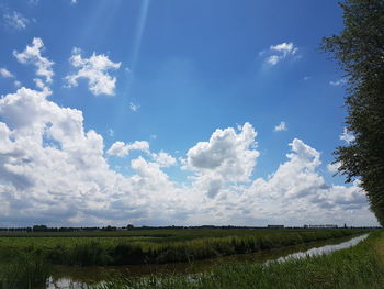 Scenic view of agricultural field against sky