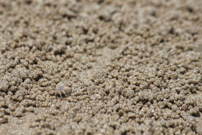 Full frame shot of sand