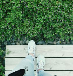 Low section of person standing by plants