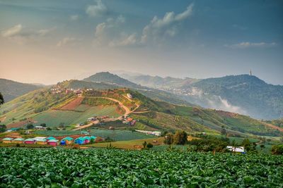 Scenic view of agricultural field against sky