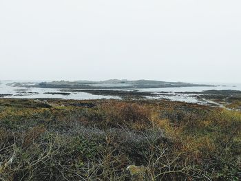 Scenic view of sea against clear sky