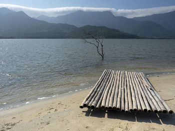 Scenic view of beach against sky