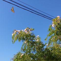 Low angle view of tree against blue sky