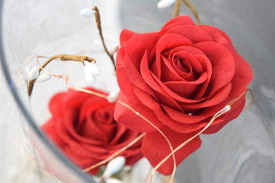 Close-up of red rose