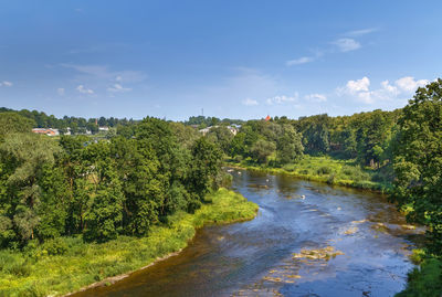 Scenic view of river amidst trees against sky