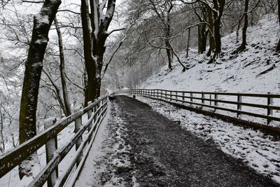 Snow covered walkway amidst trees