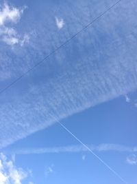 Low angle view of trees against blue sky