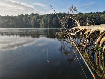 Scenic view of lake by trees against sky