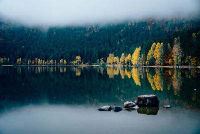 Reflection of trees in lake against sky