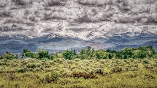 Scenic view of landscape against sky