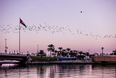 Flock of birds flying over river against sky