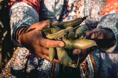 Woman collecting beans in colca canyon