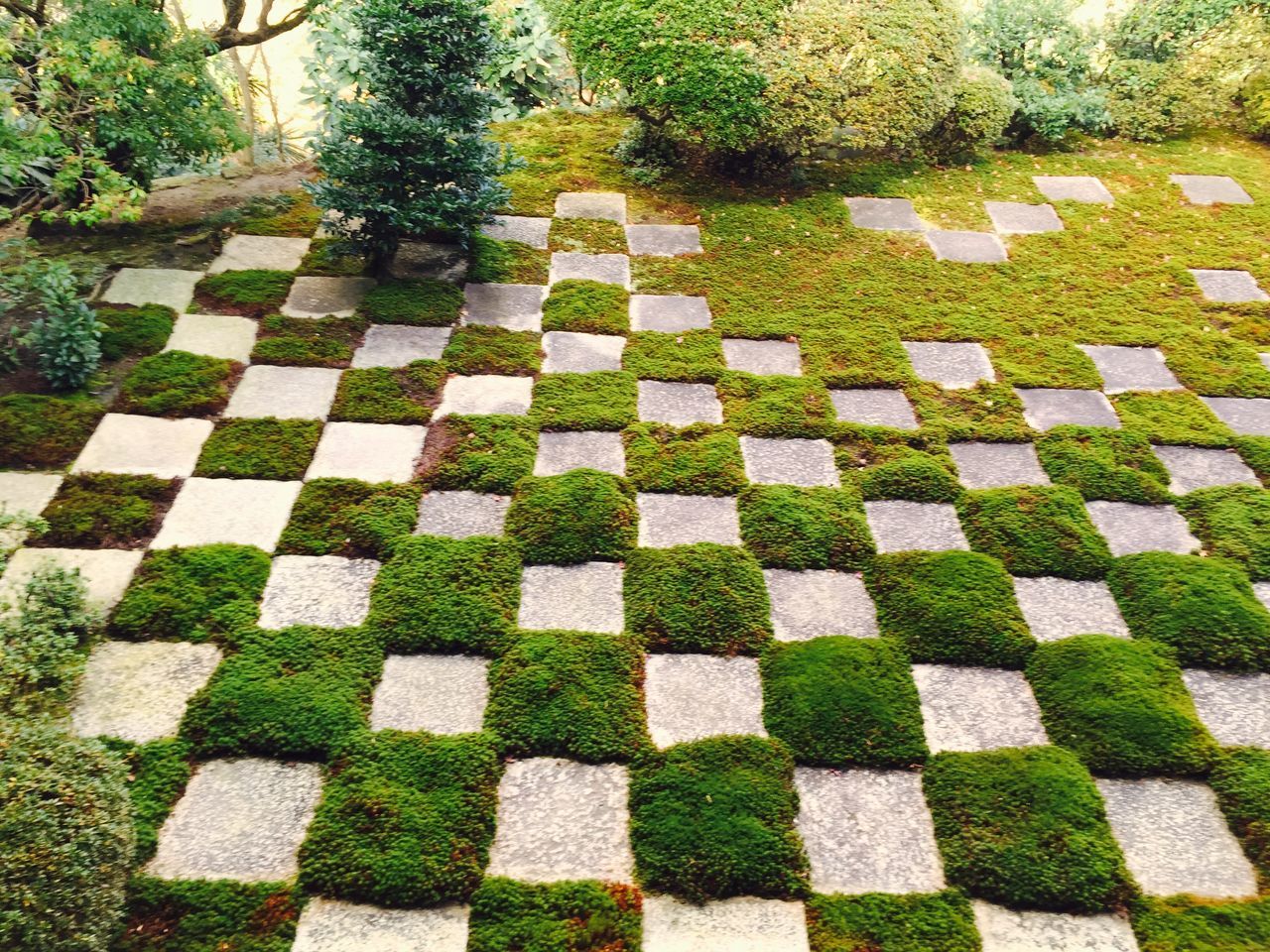 green color, full frame, pattern, growth, high angle view, backgrounds, plant, grass, day, no people, paving stone, footpath, nature, outdoors, tiled floor, sunlight, tree, park - man made space, shadow, textured