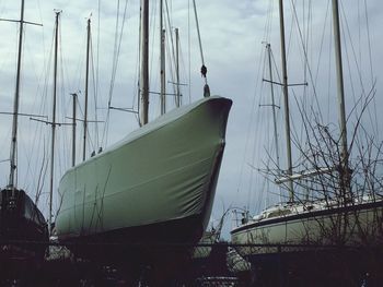 Sailboats in sea