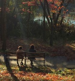 Rear view of man sitting on bench in park