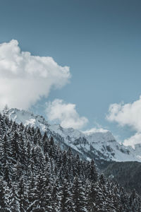 Snow covered trees on mountains against sky