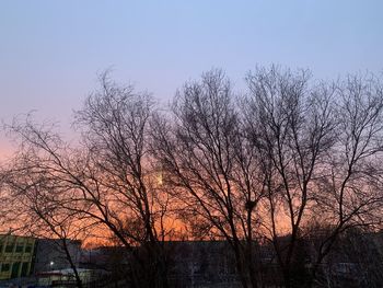 Low angle view of bare trees against sky during sunset