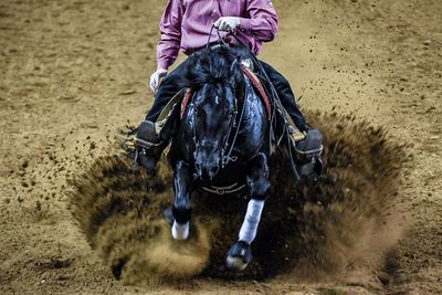 Low section of person riding horse