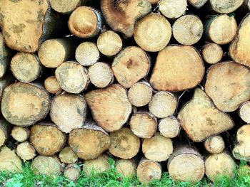 Full frame shot of logs