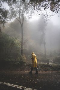 Man walking in forest