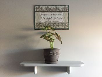 Close-up of potted plant on table at home