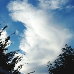 Low angle view of trees against cloudy sky