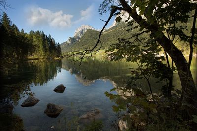 Scenic view of lake by trees against sky