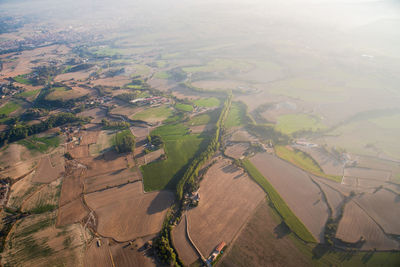 Scenic view of wheat field