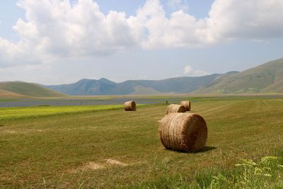 Scenic view of grassy field against cloudy sky