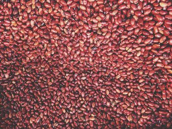 Full frame shot of kidney beans