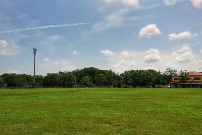 Trees on field against sky