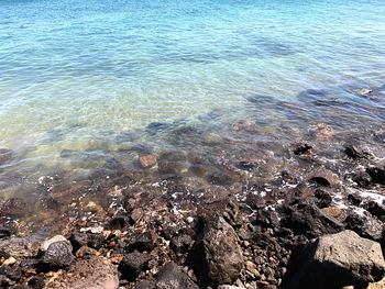 High angle view of rocks in sea