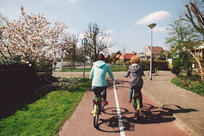 Rear view of women riding bicycle on road during sunny day