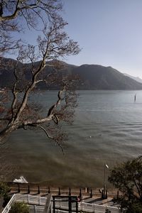 View of birds flying over sea against sky