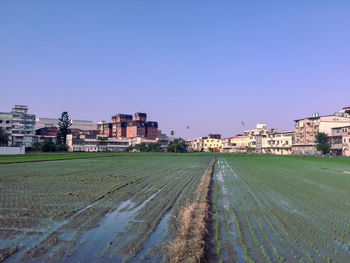 Buildings on field against clear blue sky
