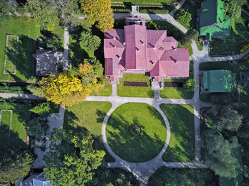 High angle view of flowering plants by building in garden