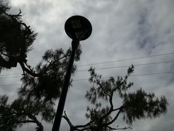 Low angle view of silhouette tree against sky