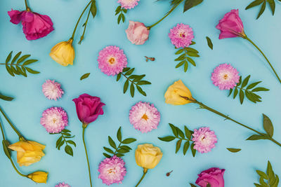 High angle view of flowers