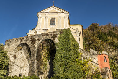 Foliage with red leaves near the lake maggiore in maccagno.