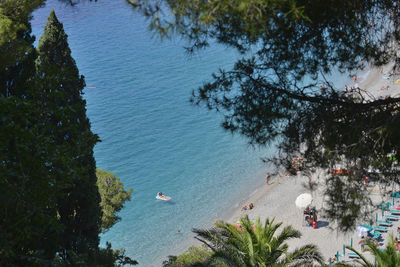 High angle view of sea and trees